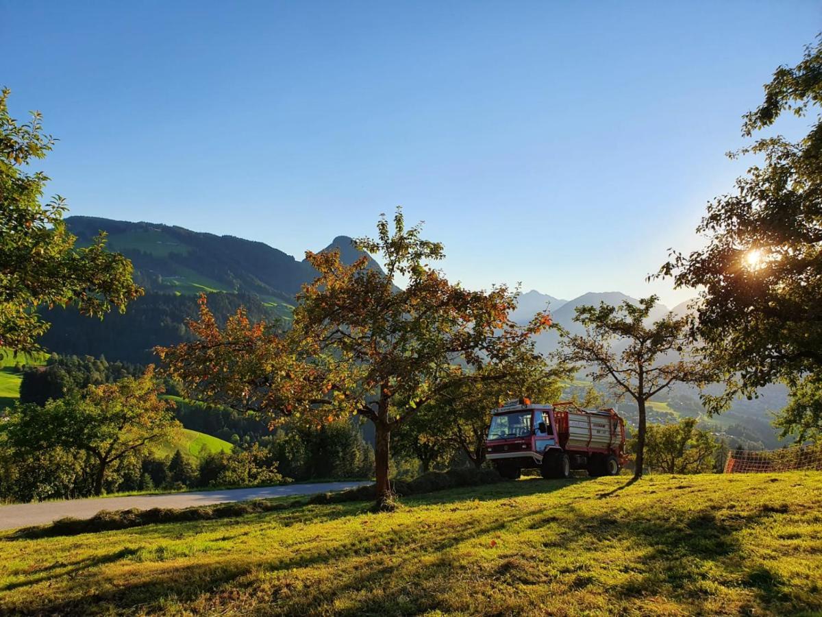 Hotel & Alpengasthof Pinzgerhof Reith im Alpbachtal Zewnętrze zdjęcie